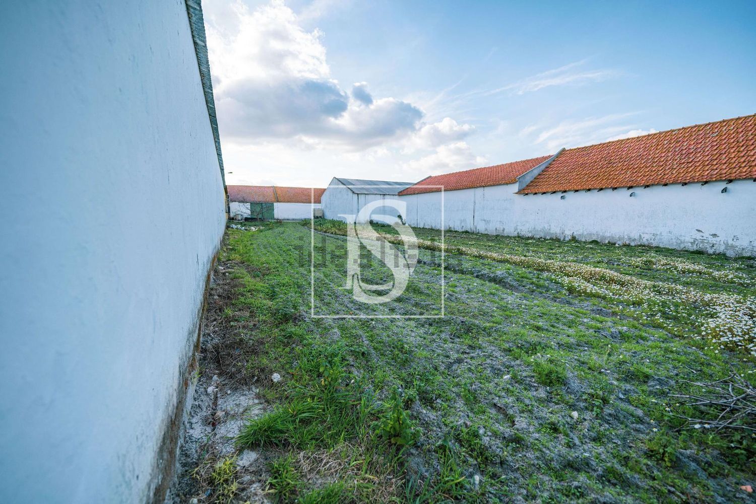 农庄出售在Poceirão e Marateca - 花园