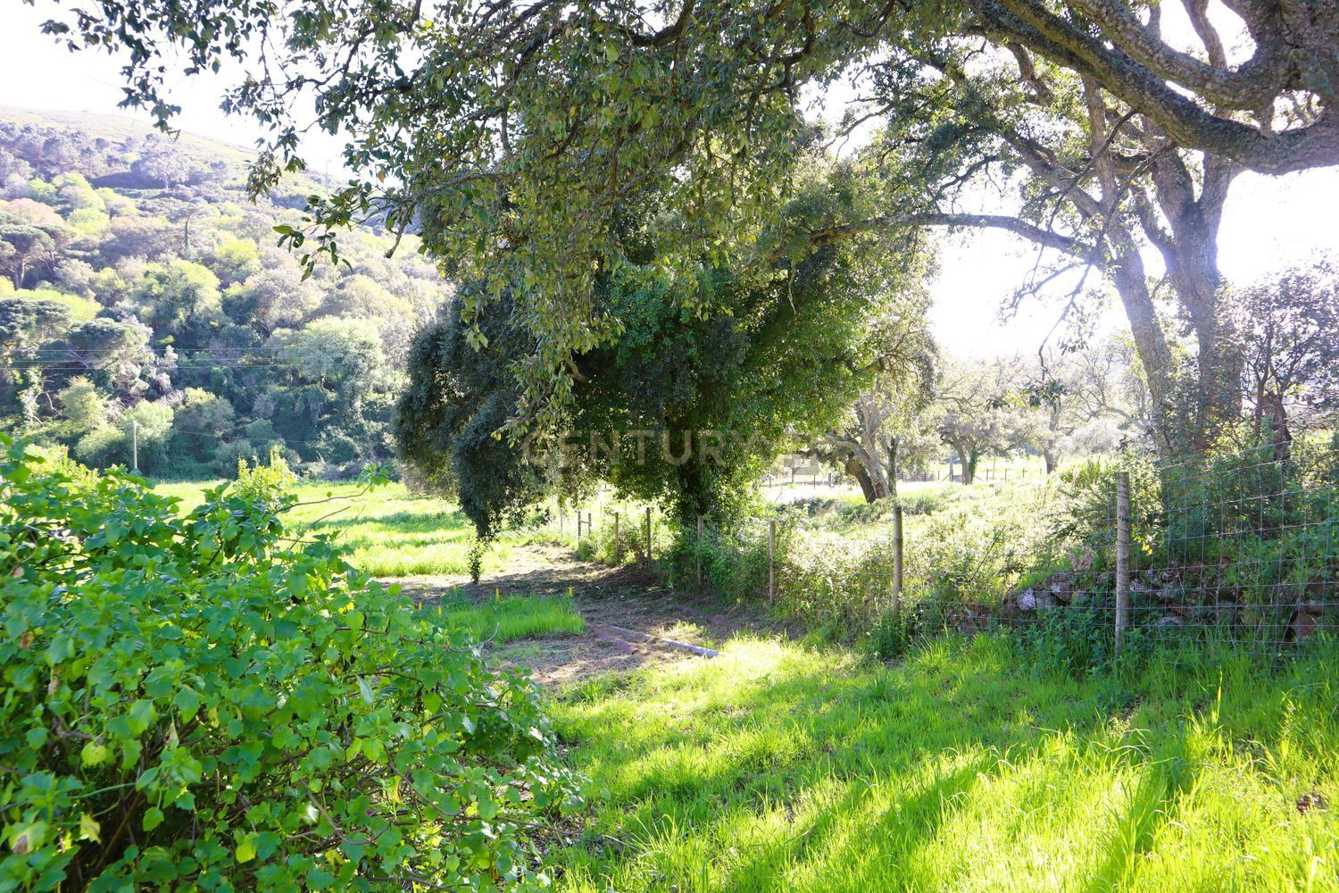 小楼房或独栋别墅出售在Estrada de Santo Estevão - 花园