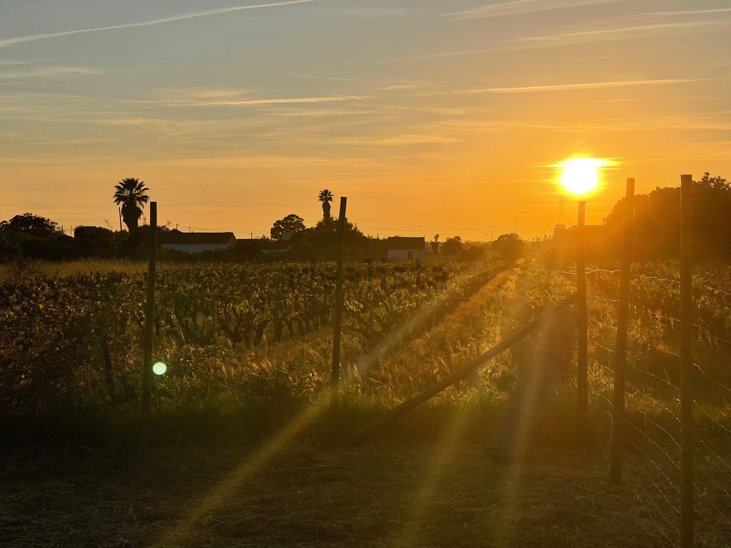 庄园出售在Estrada Lagameças, 1 - 花园