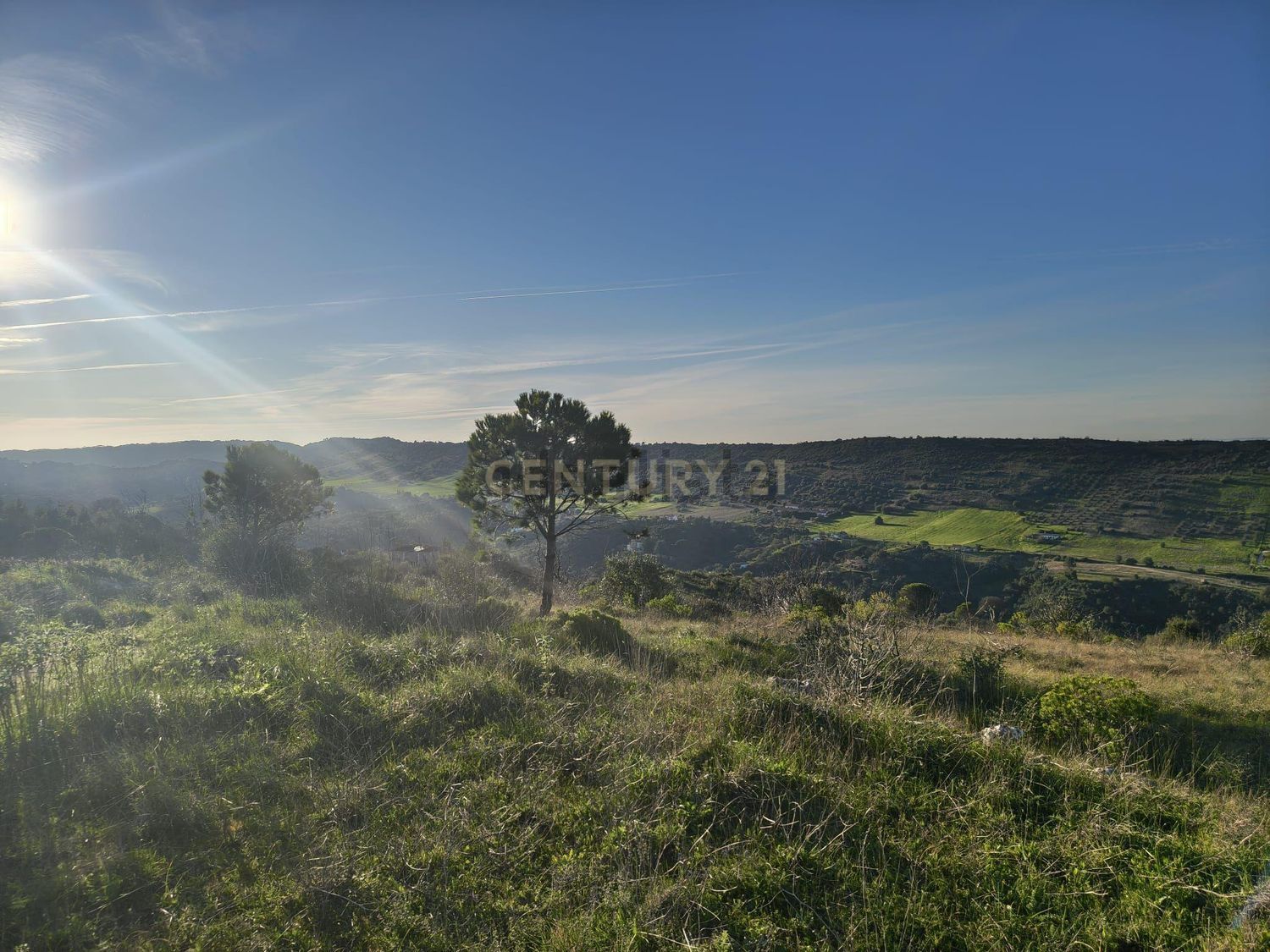 庄园出售Cm1052 s/n - 视线