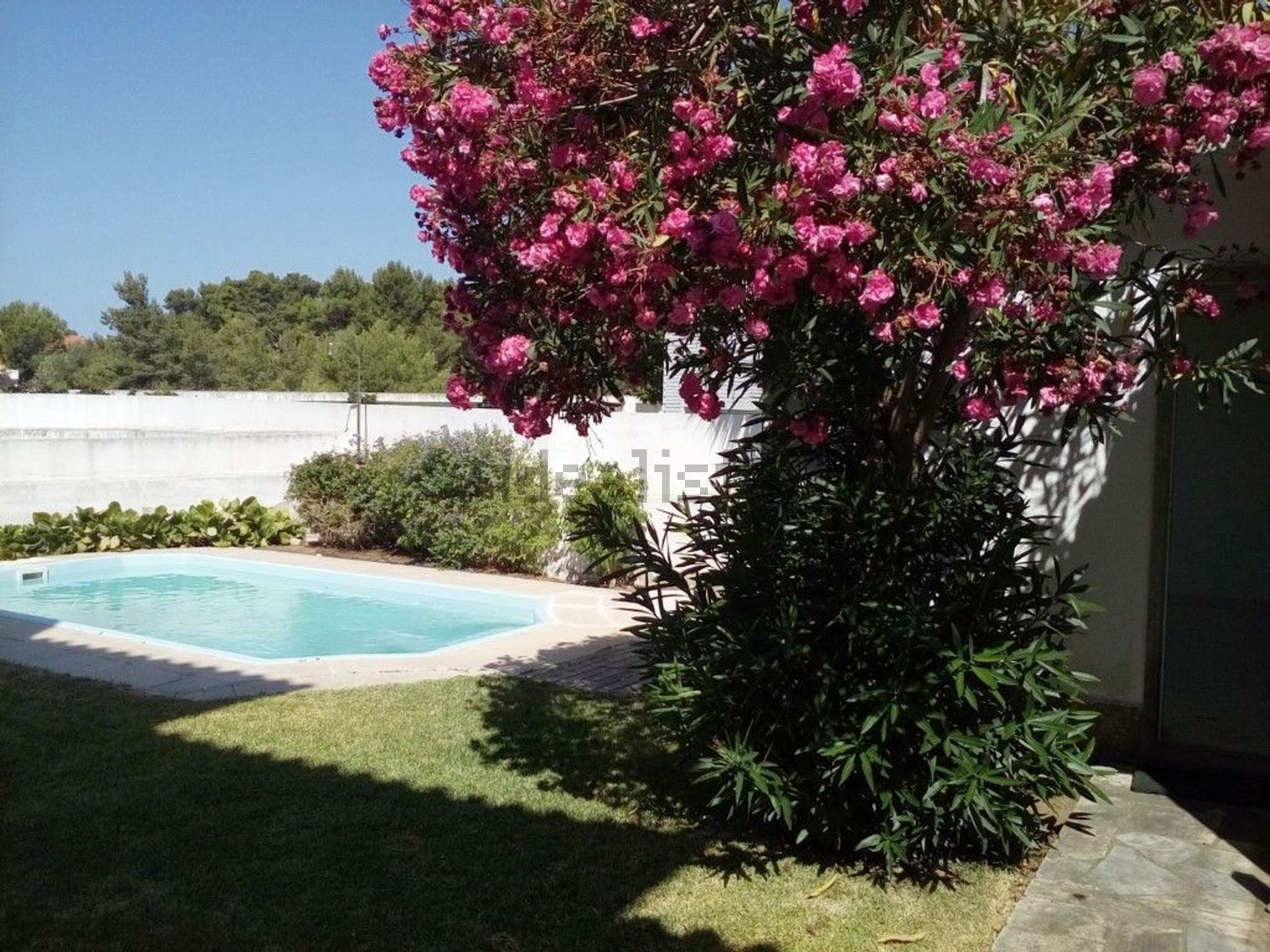 出租小楼房或独栋别墅在Centro de Cascais - 花园