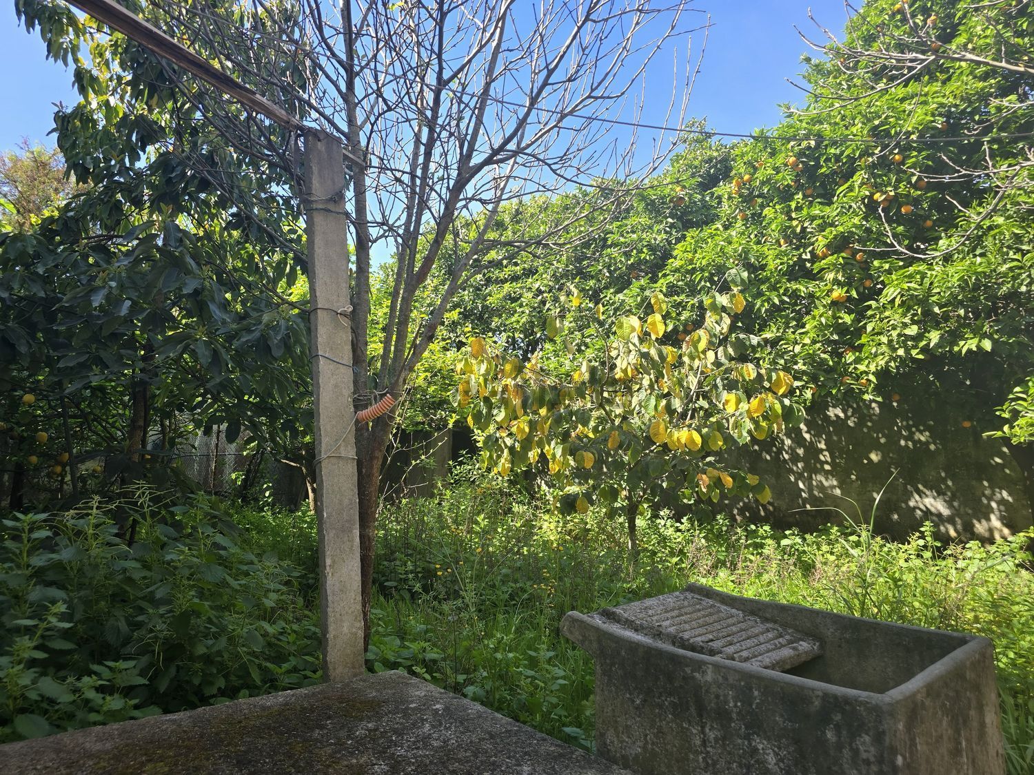 出租小楼房在A-da-Beja - Moinho do Guizo - 花园