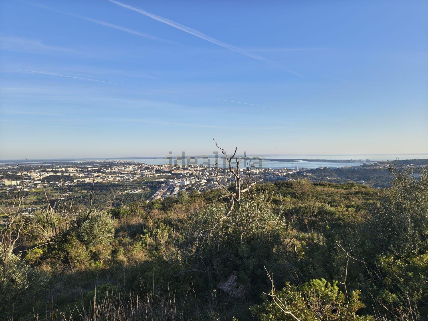 庄园出售Cm1052 s/n - 视线