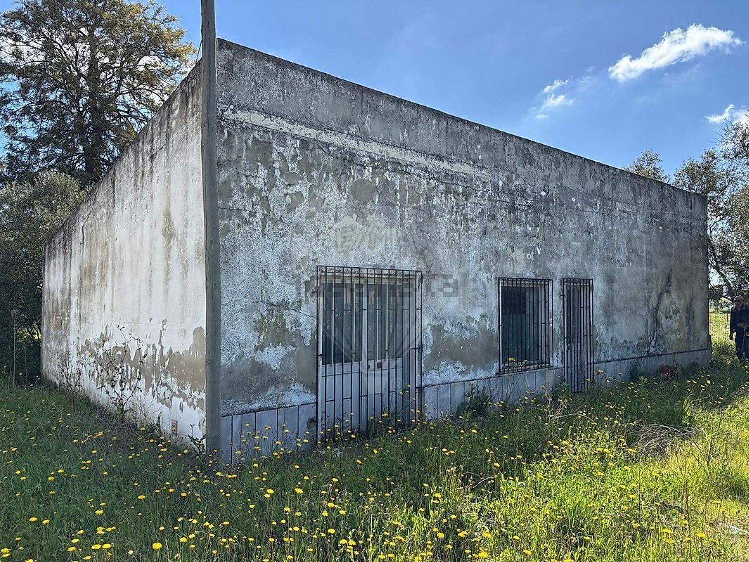 庄园出售在Cascalheira - Venda do Alcaide - 外立面