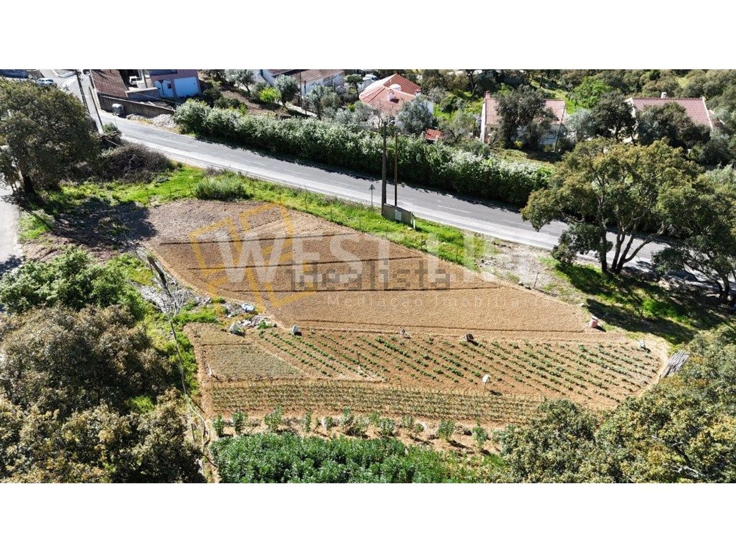 小楼房或独栋别墅出售在Avenida Catarina Eufémia - 照片