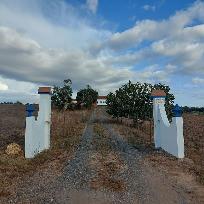 阿连特茹山出售Zona rural de Cercal do Alentejo Zonarural