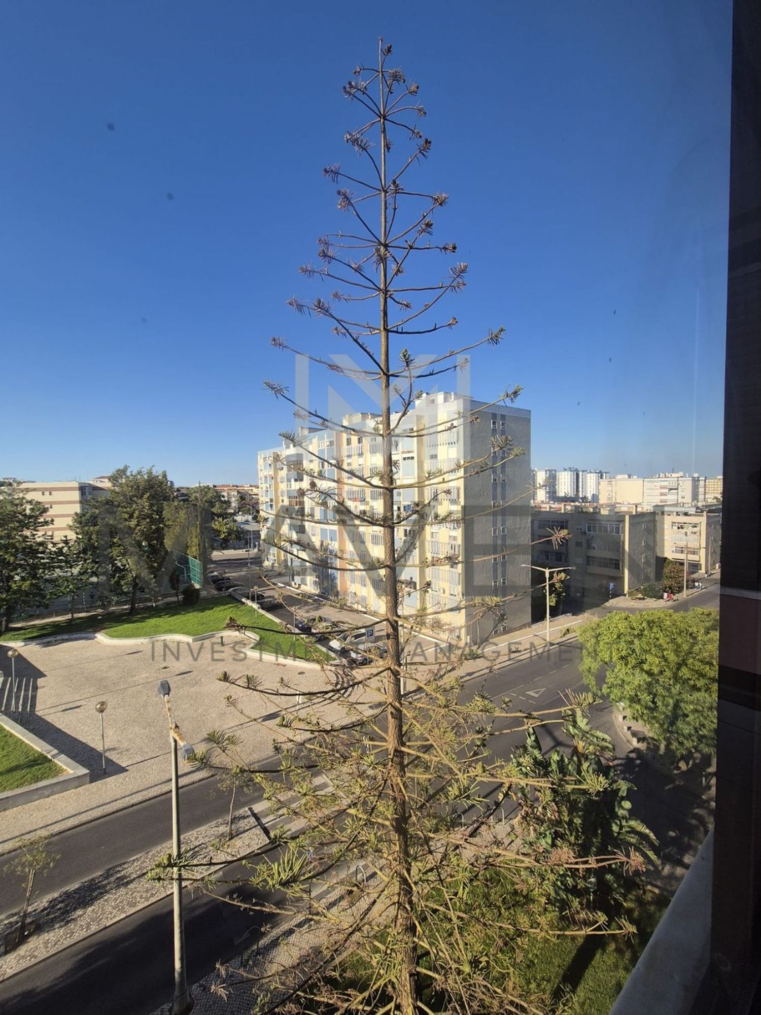 出租顶层公寓在Avenida Professor Rui Luís Gomes - 视线