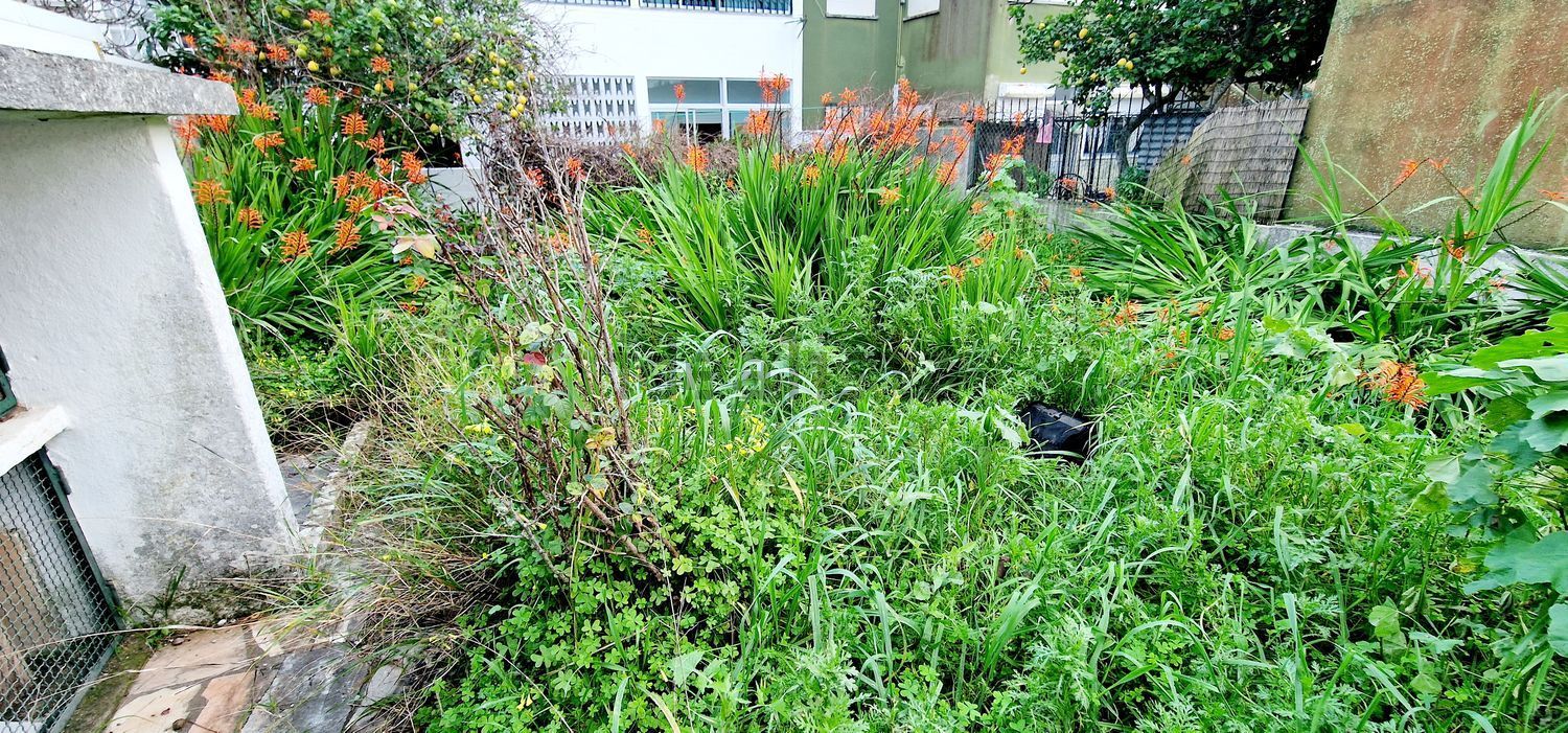 出租公寓 t2在Estrada de Paço de Arcos - 花园