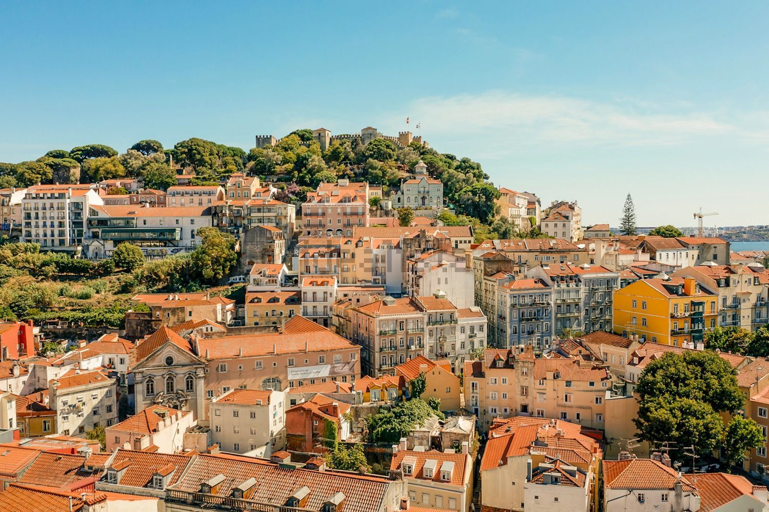 出租复式公寓Escadinhas do Marquês de Ponte de Lima - 视线