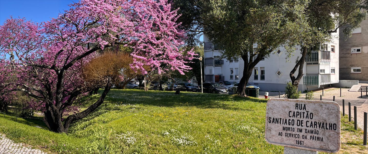 公寓 t2出售在Rua Capitão Santiago de Carvalho, 2 Lote - 外立面