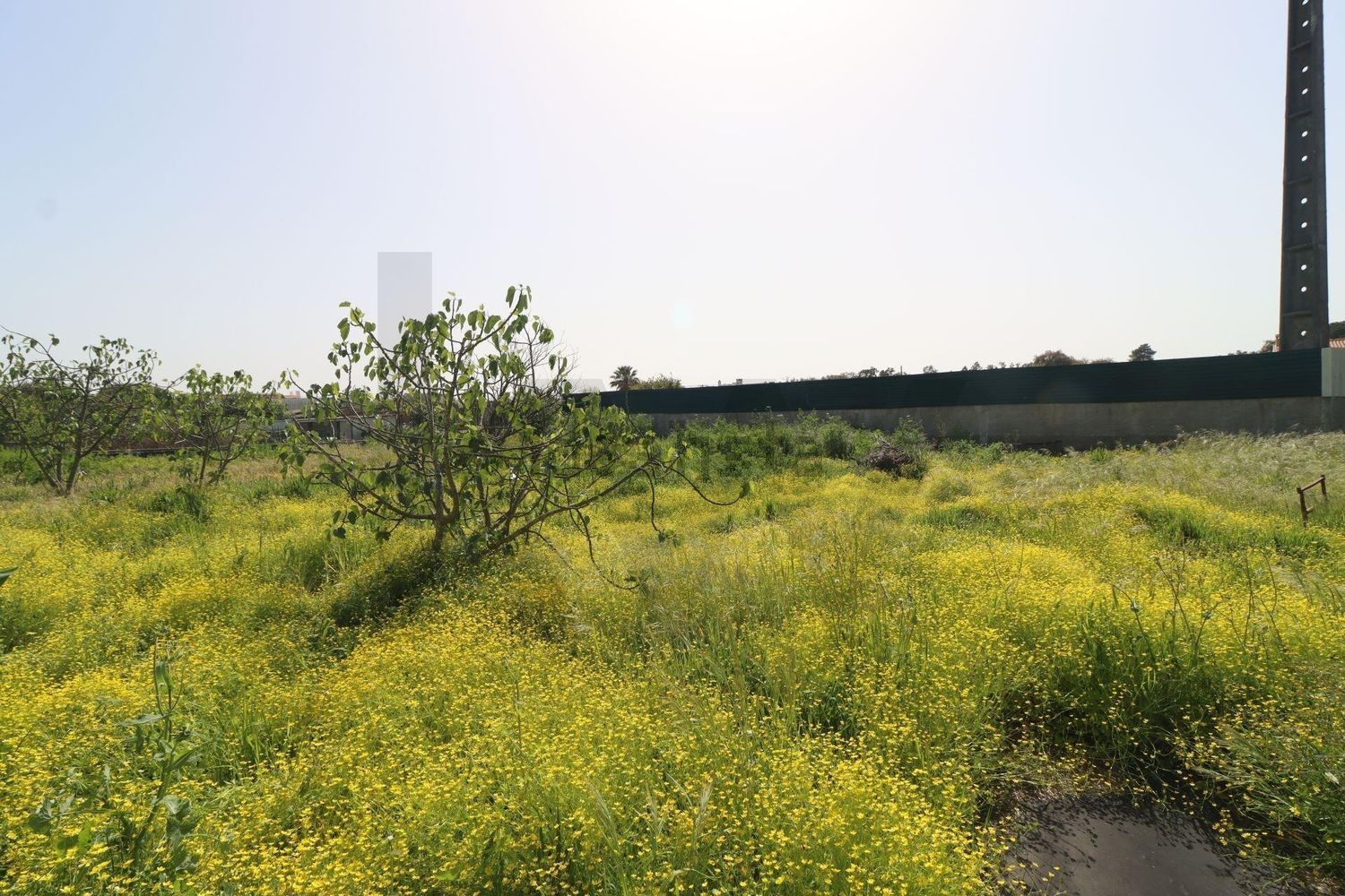 小楼房或独栋别墅出售在Rua António Aleixo - 花园