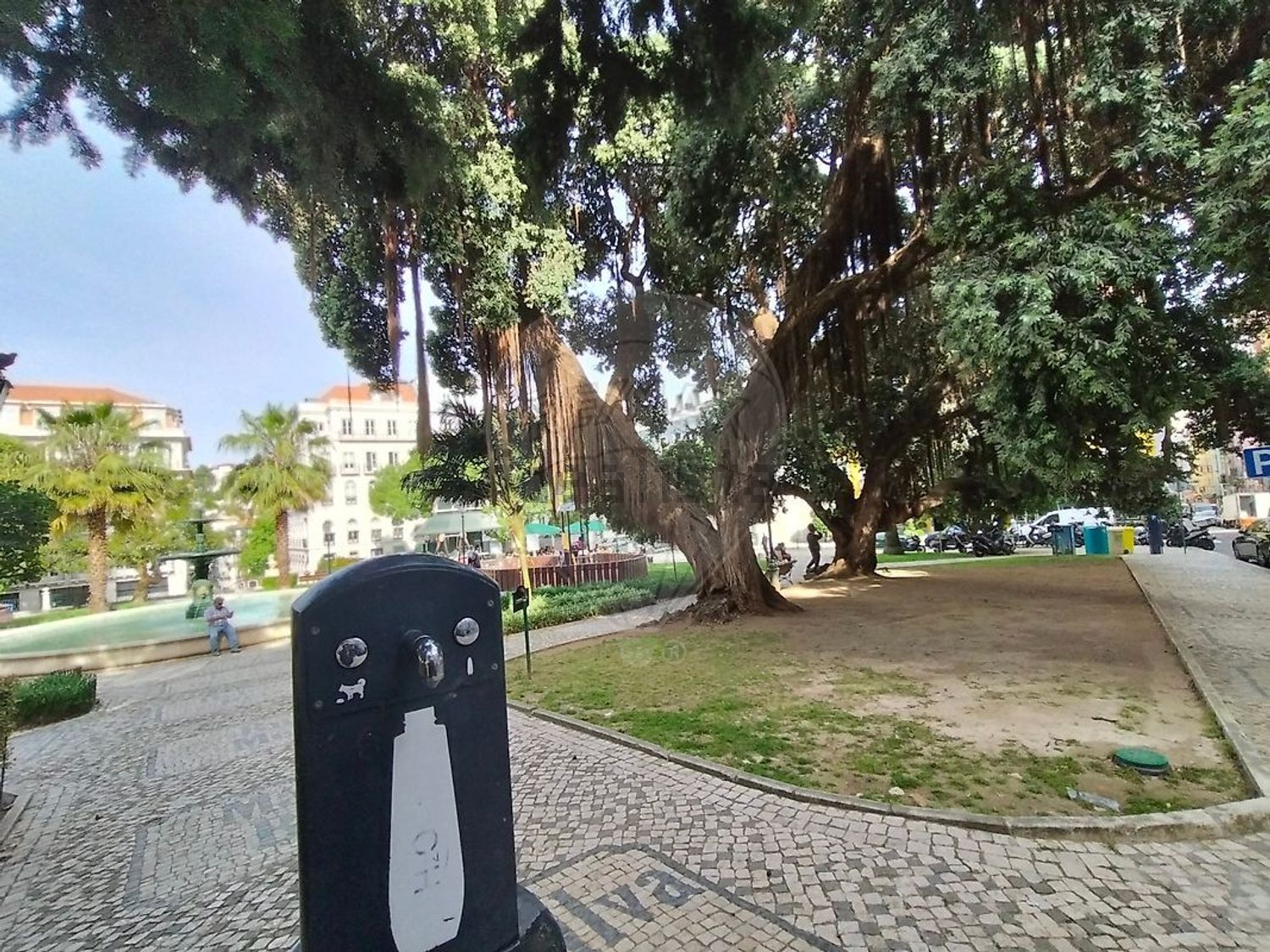 出租公寓 t2在Rua da Alegria - 花园