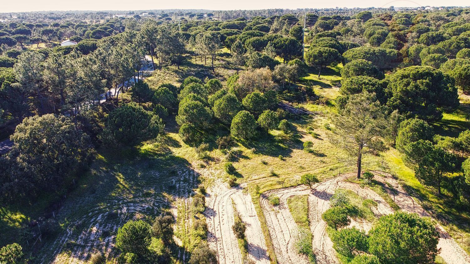 庄园出售在Melides - 视线