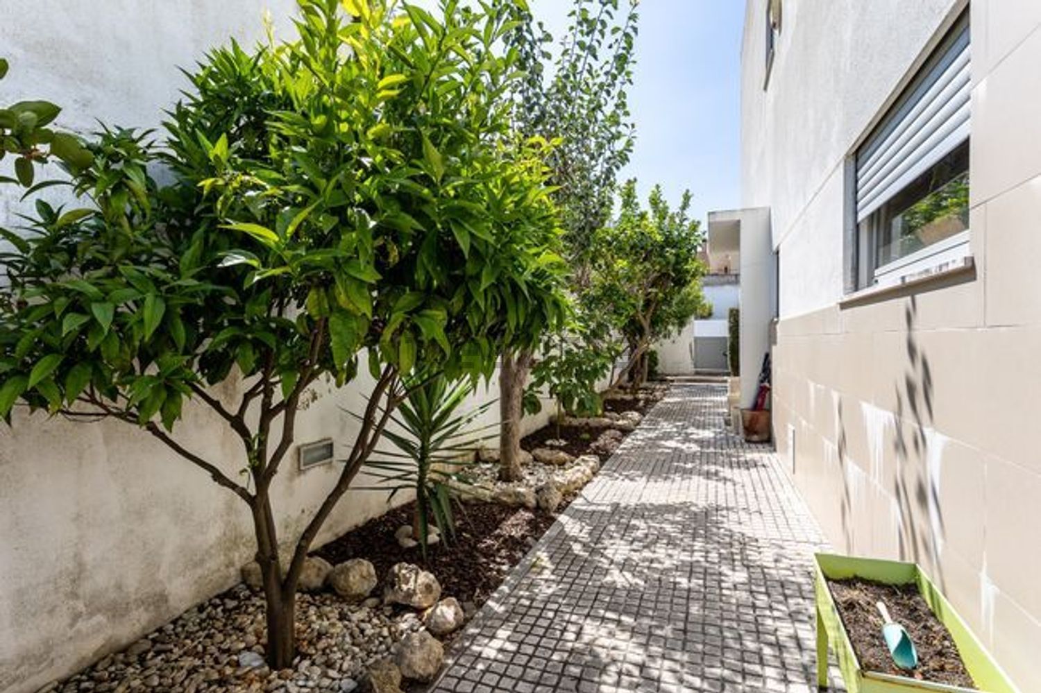 小楼房或独栋别墅出售在Rua Adão Manuel Ramos Barata - 阳台