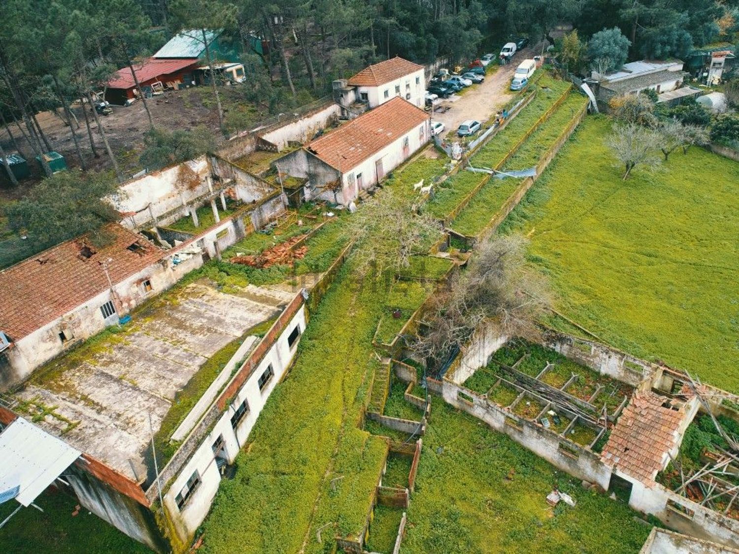 庄园出售在Lousa - 照片