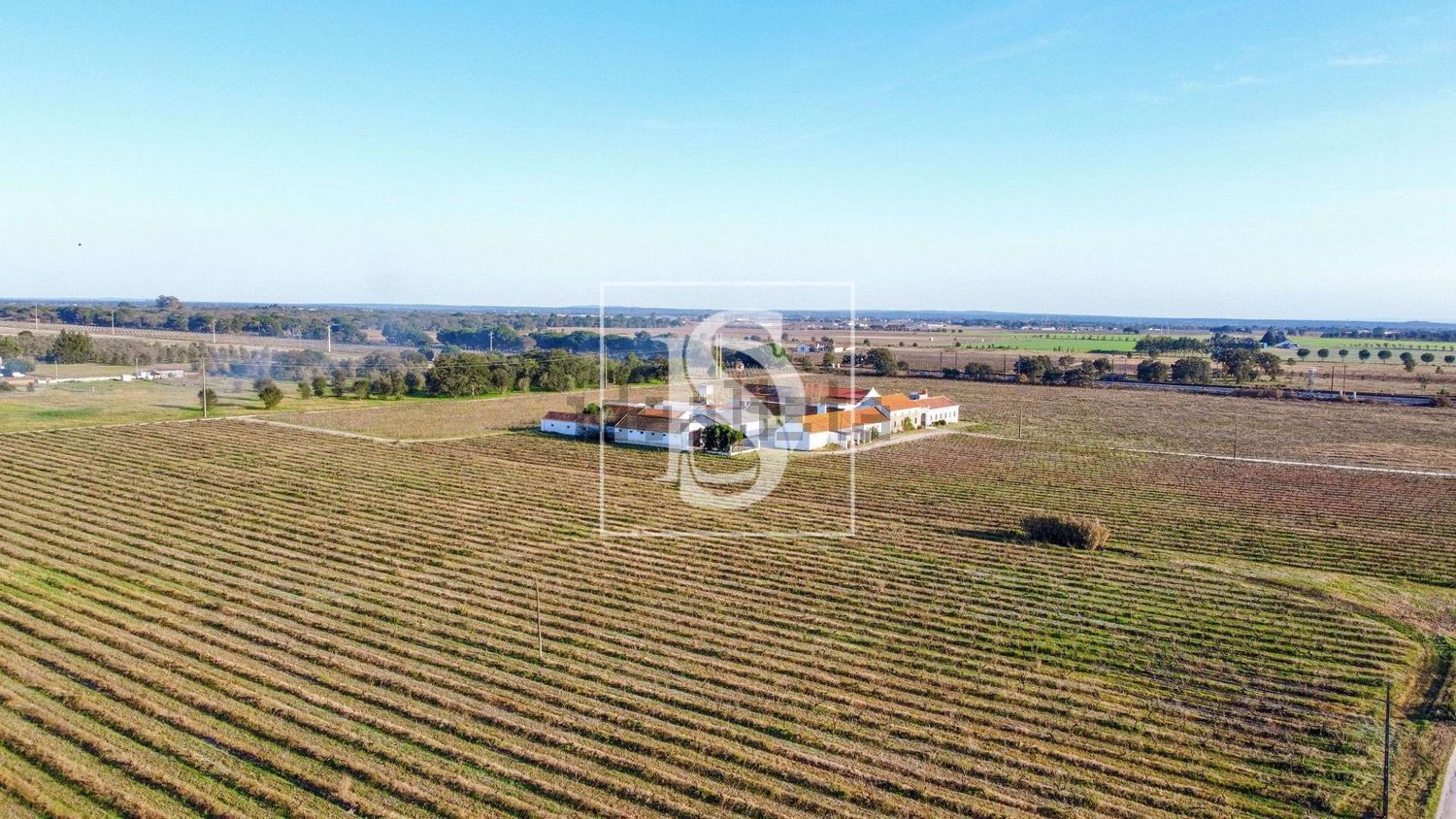 农庄出售在Poceirão e Marateca - 照片