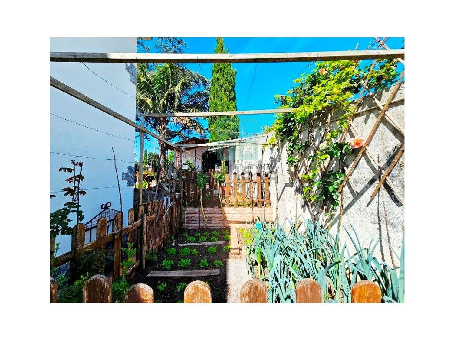 小楼房或独栋别墅出售在Rua Zambujal, 263 a - 花园