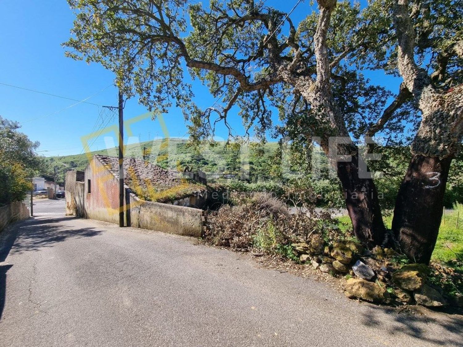 小楼房或独栋别墅出售在Avenida Catarina Eufémia - 花园