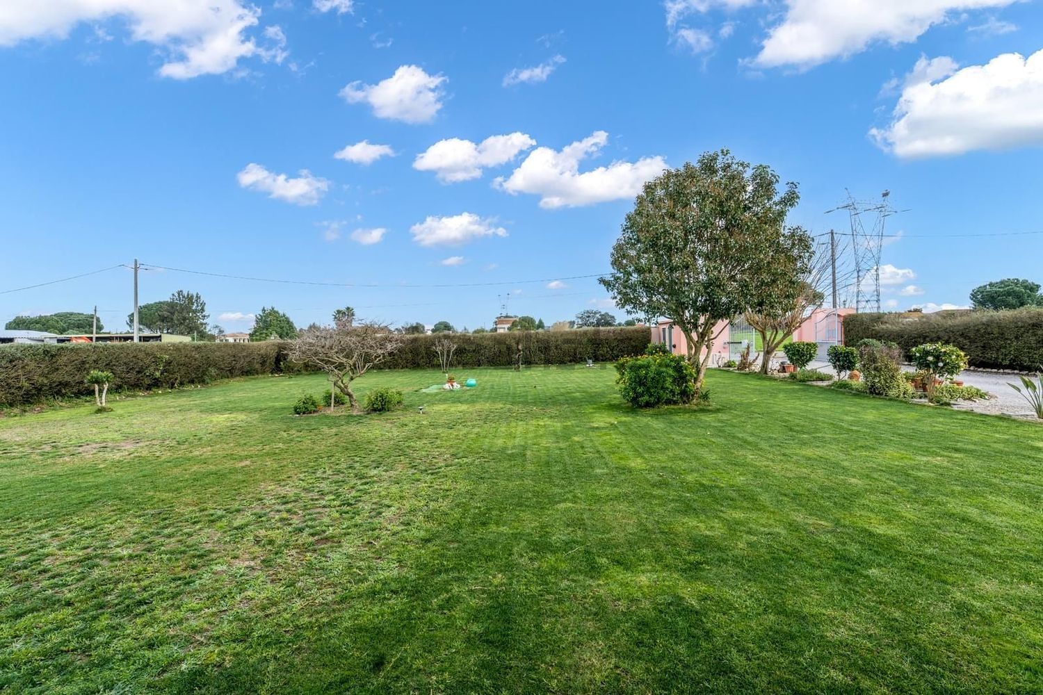 小楼房或独栋别墅出售N10 - 花园