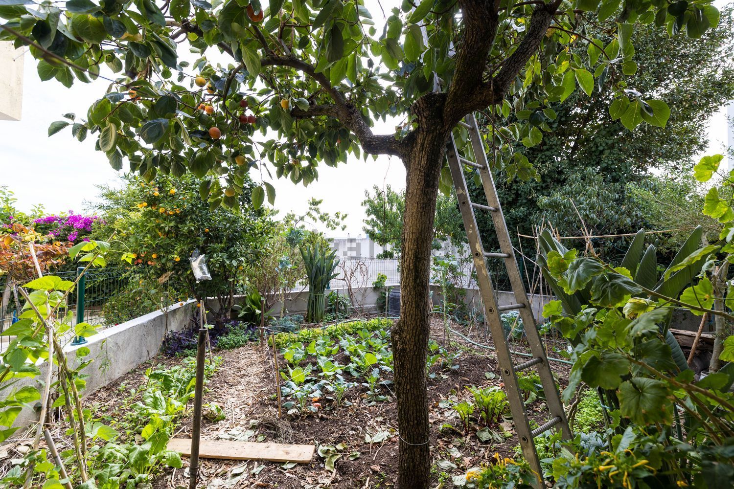 小楼房或独栋别墅出售在Rua dos Malmequeres, 2 - 花园