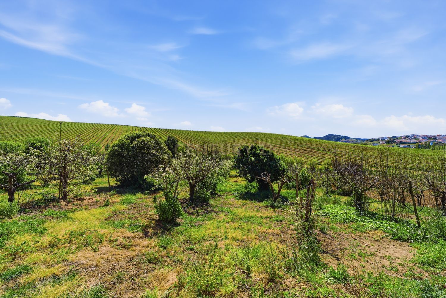 小楼房或独栋别墅出售在Rua do Relógio do Sol, 17 - 视线