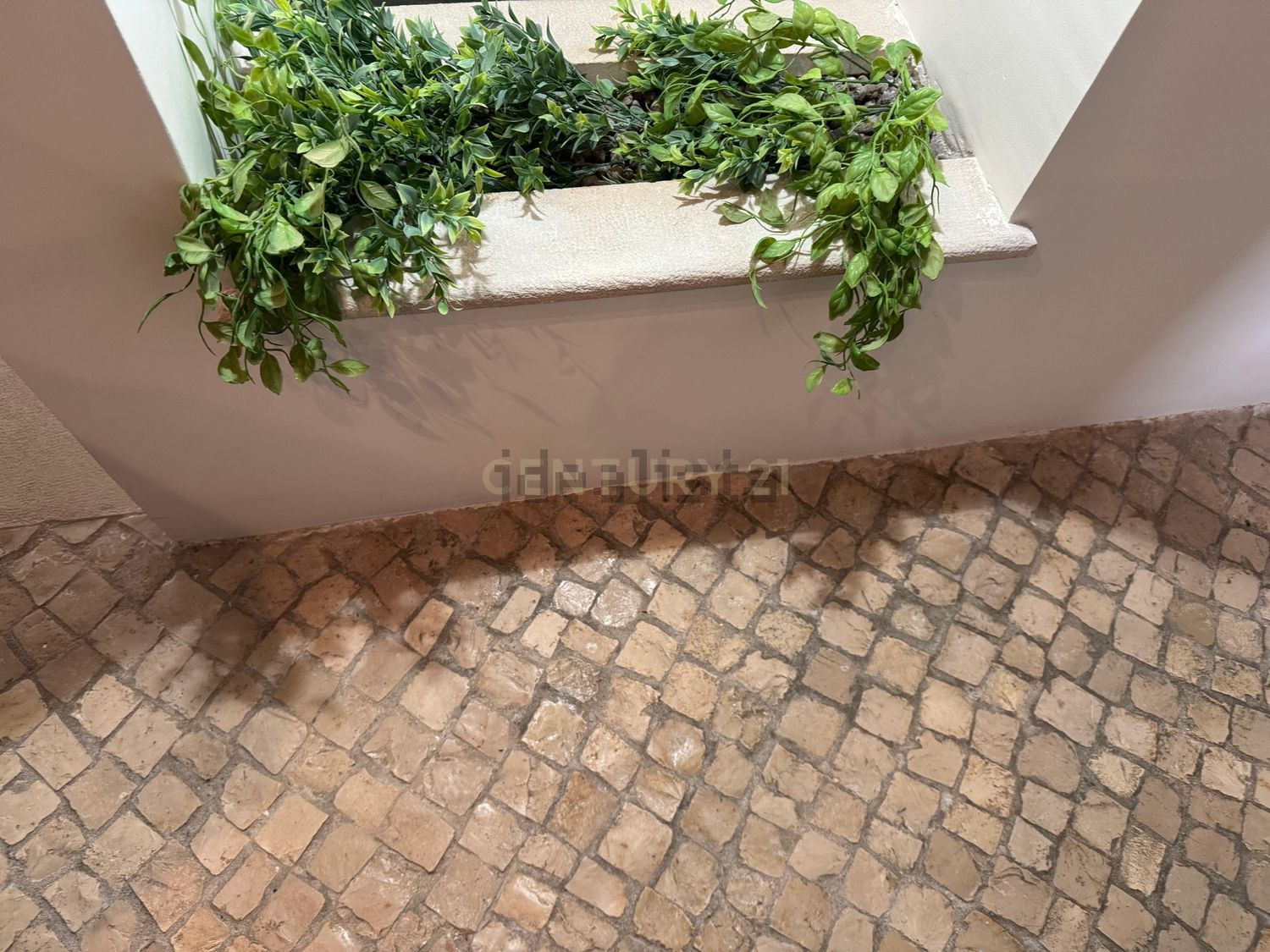 农庄出售在Estrada de Miraventos, 12 - 花园