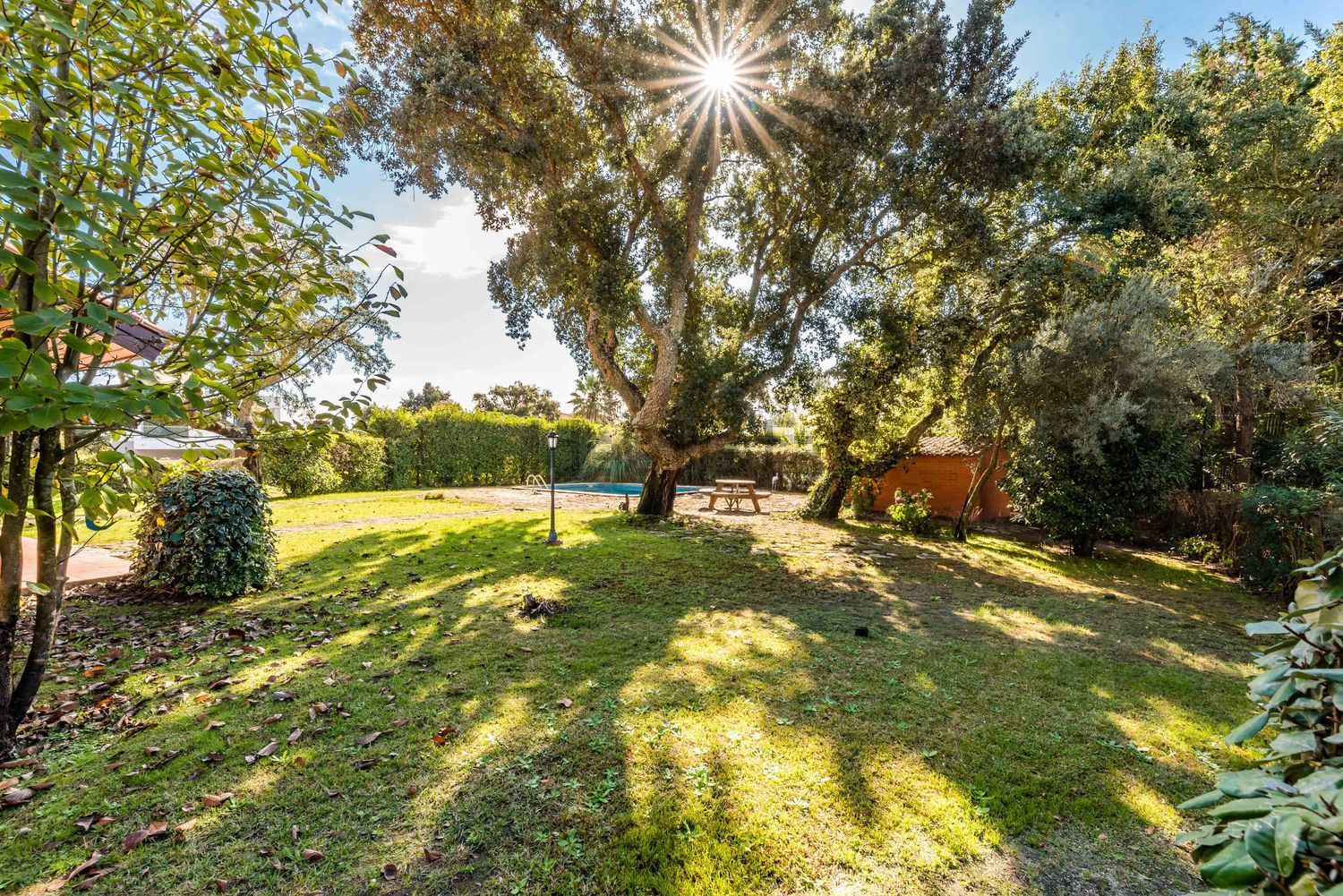 小楼房或独栋别墅出售Golf Montado - 花园