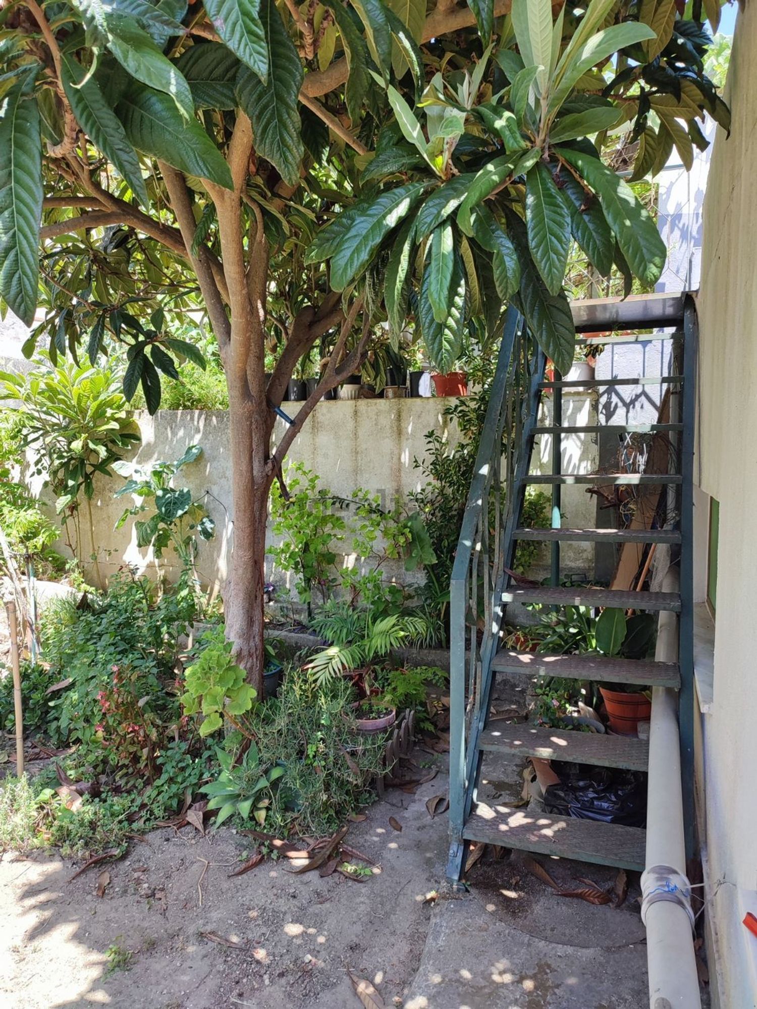 公寓 t1出售在Avenida do Cristo Rei, 26 a - 花园