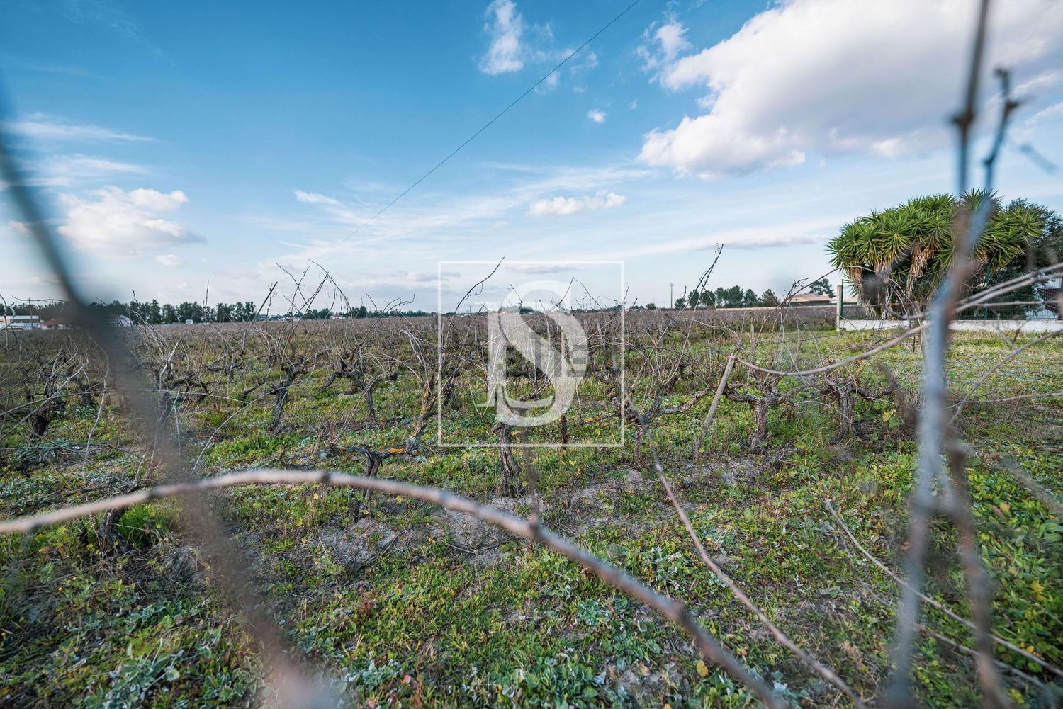 农庄出售在Poceirão e Marateca - 花园