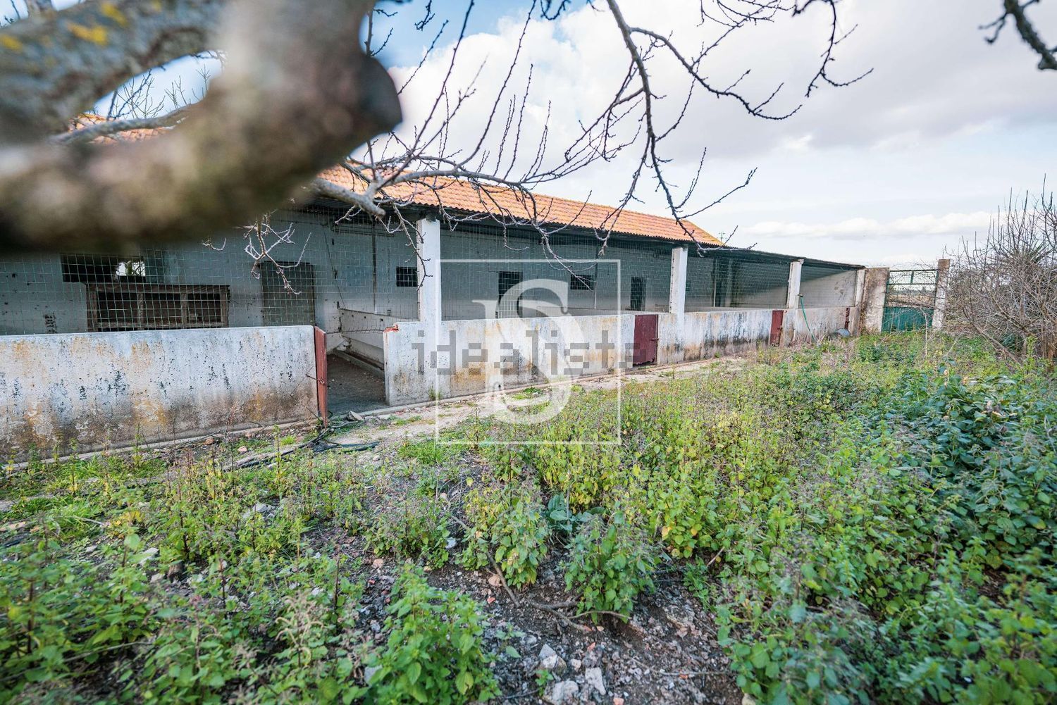 农庄出售在Poceirão e Marateca - 花园