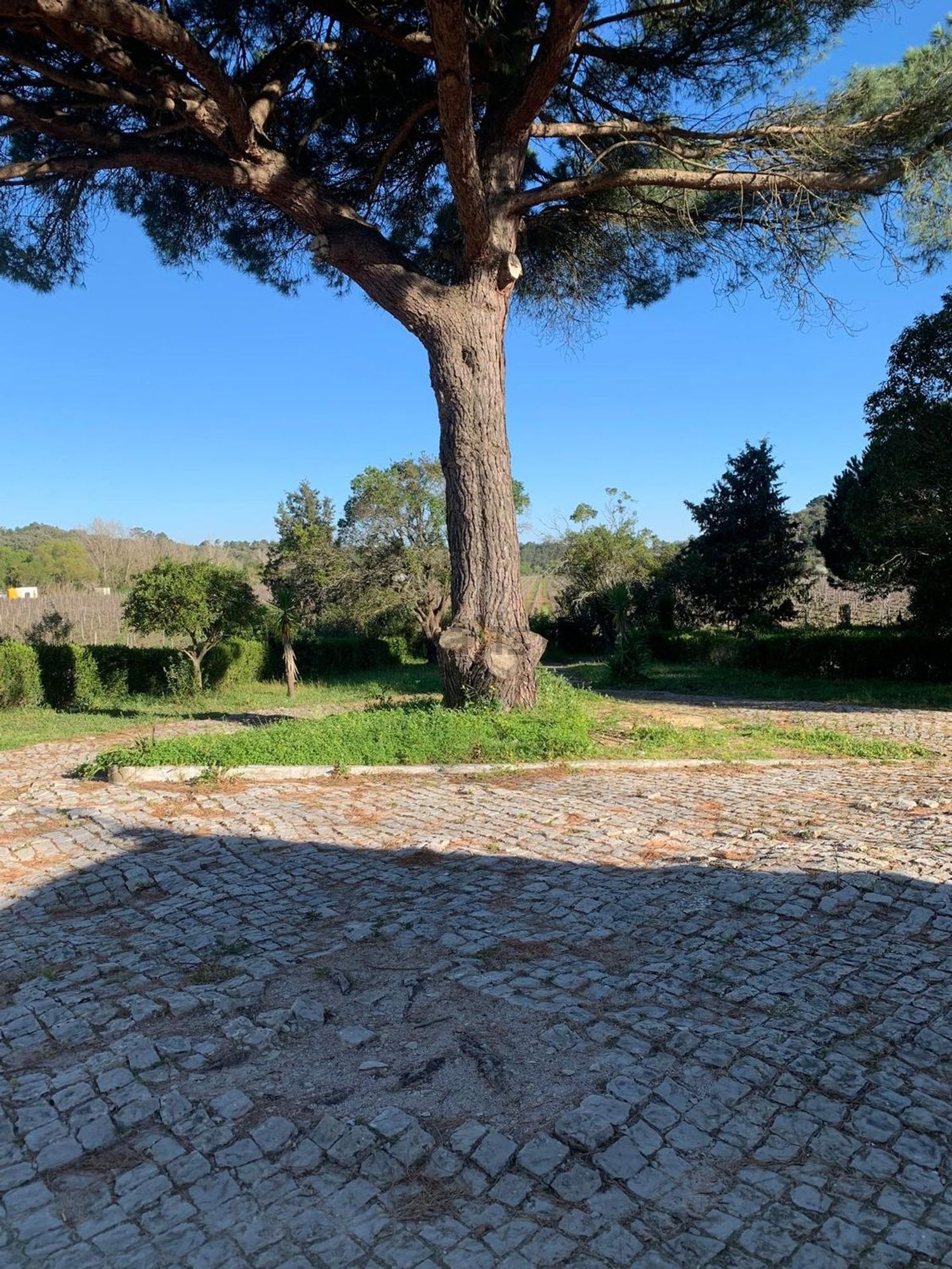 出租双拼别墅在Rua do Sobreiro s/n - 花园