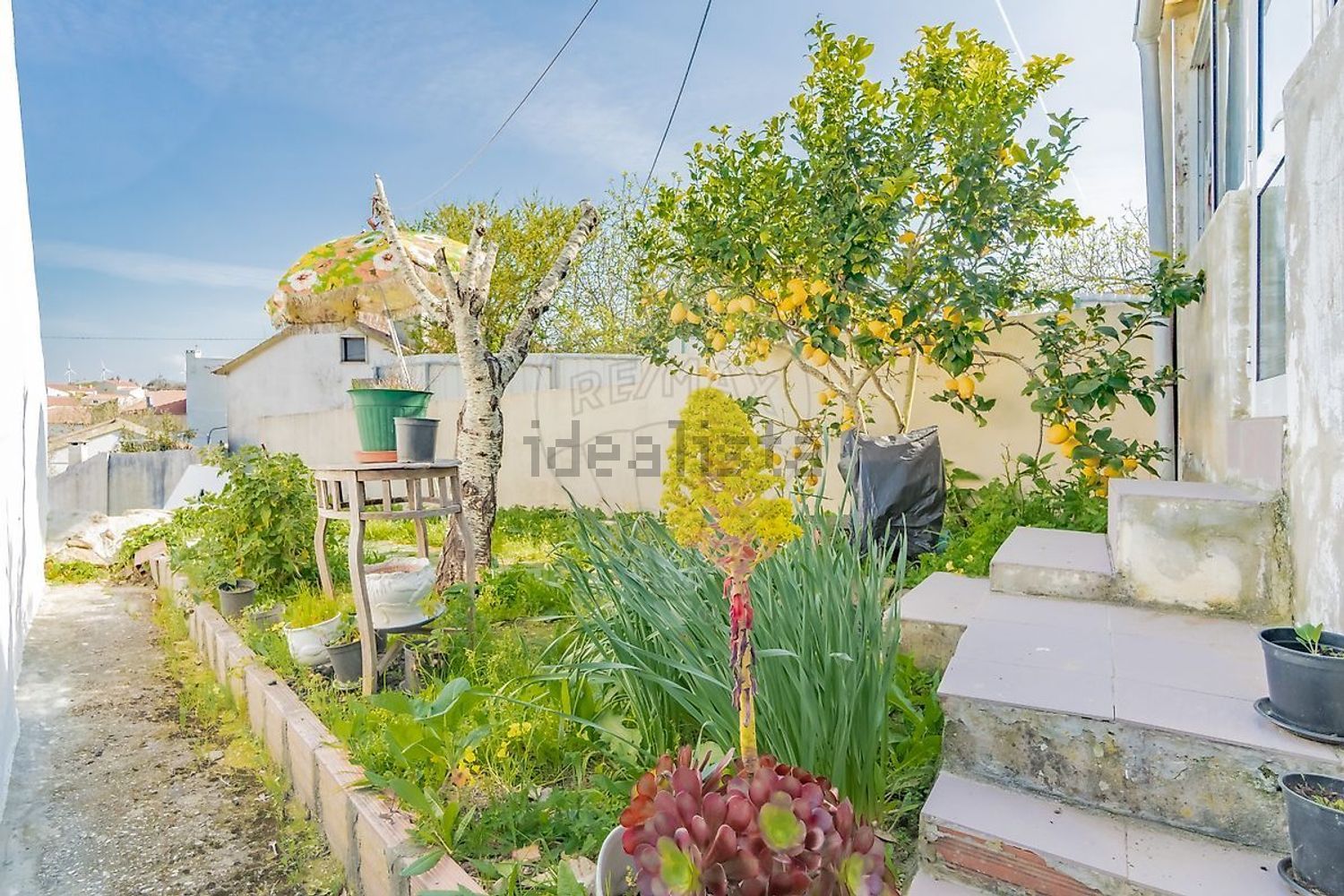 小楼房或独栋别墅出售在Rua das Flores - 花园