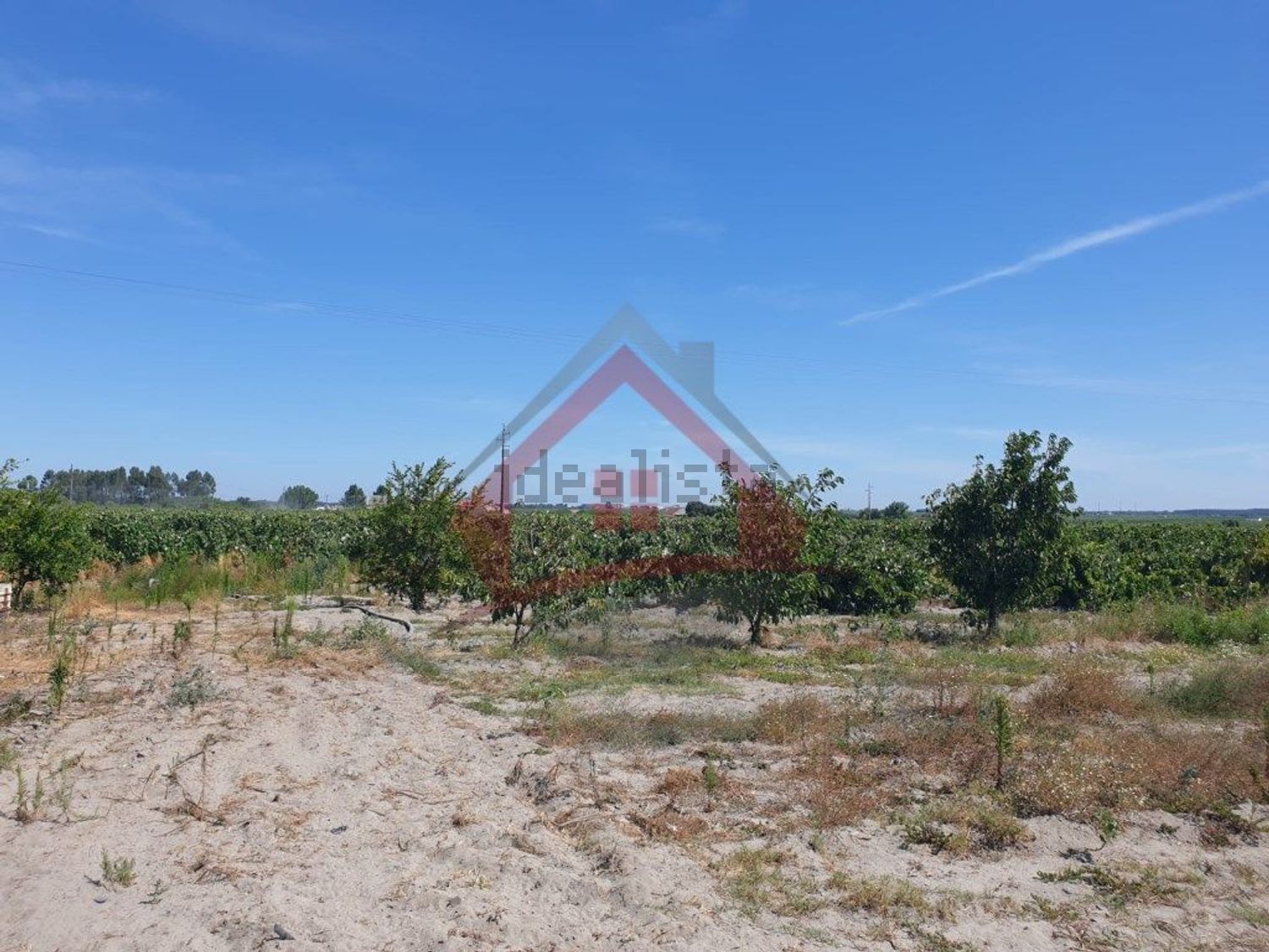 庄园出售在Largo da Fonte - 花园