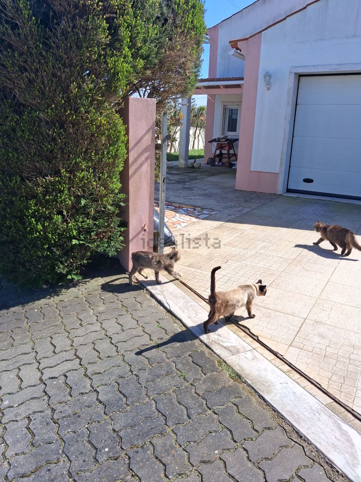 小楼房或独栋别墅出售在Rua Cabeço da Fonte, 15 - 入口 / 出口