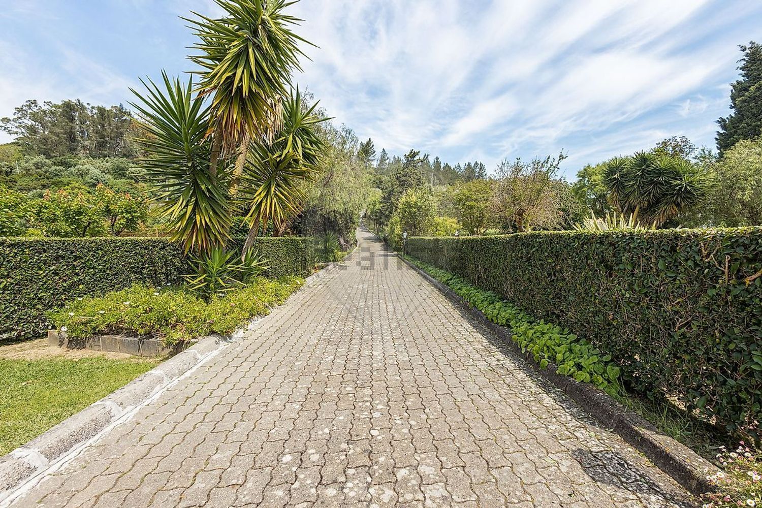 小楼房或独栋别墅出售Estr. da Serralheira de Baixo - 花园