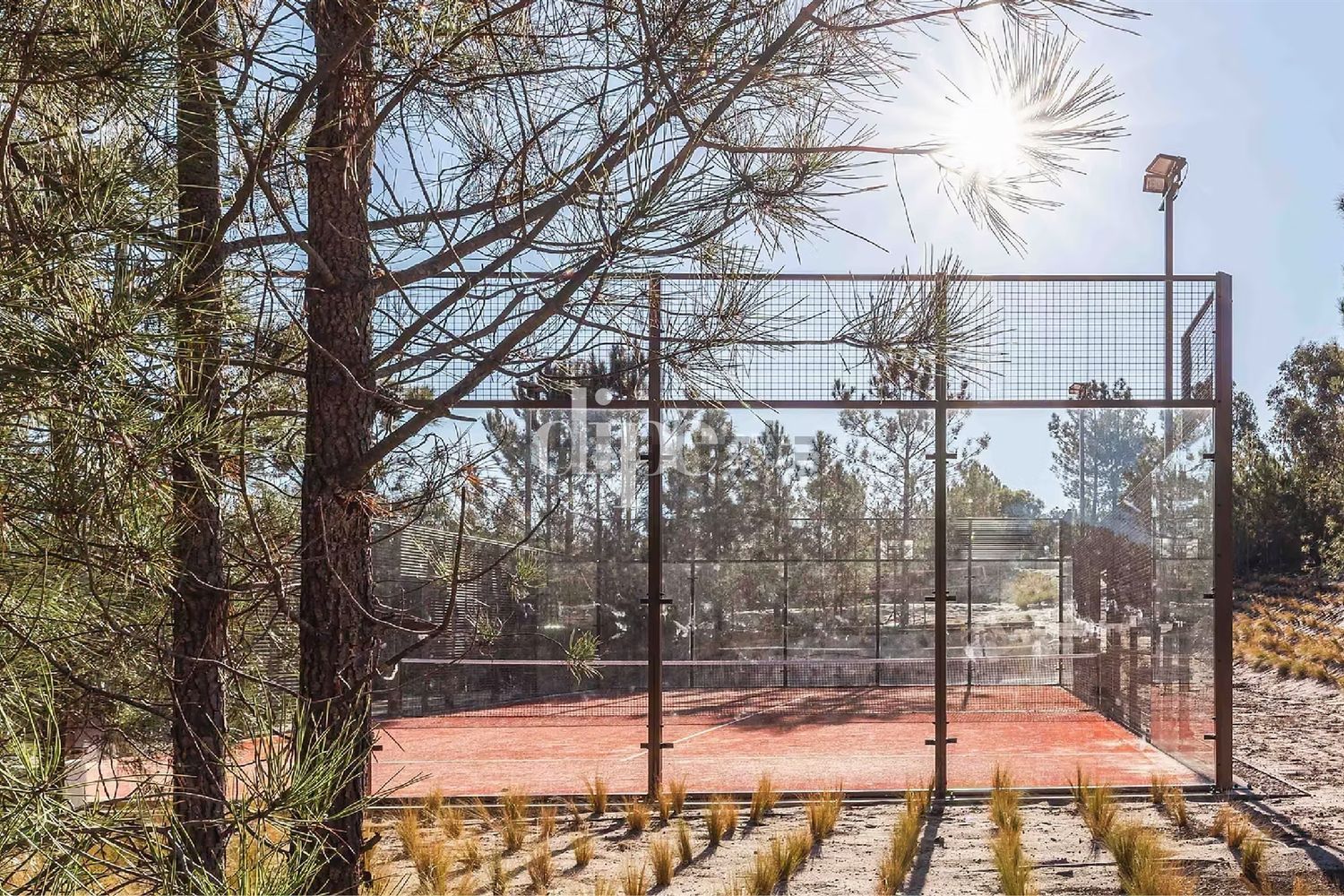 小楼房或独栋别墅出售在Melides - 视线