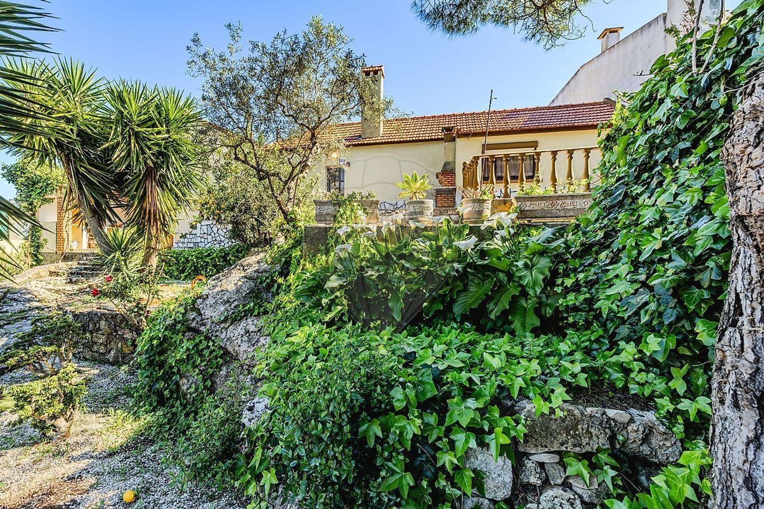 小楼房或独栋别墅出售在Rua do Rio Velho - 外立面