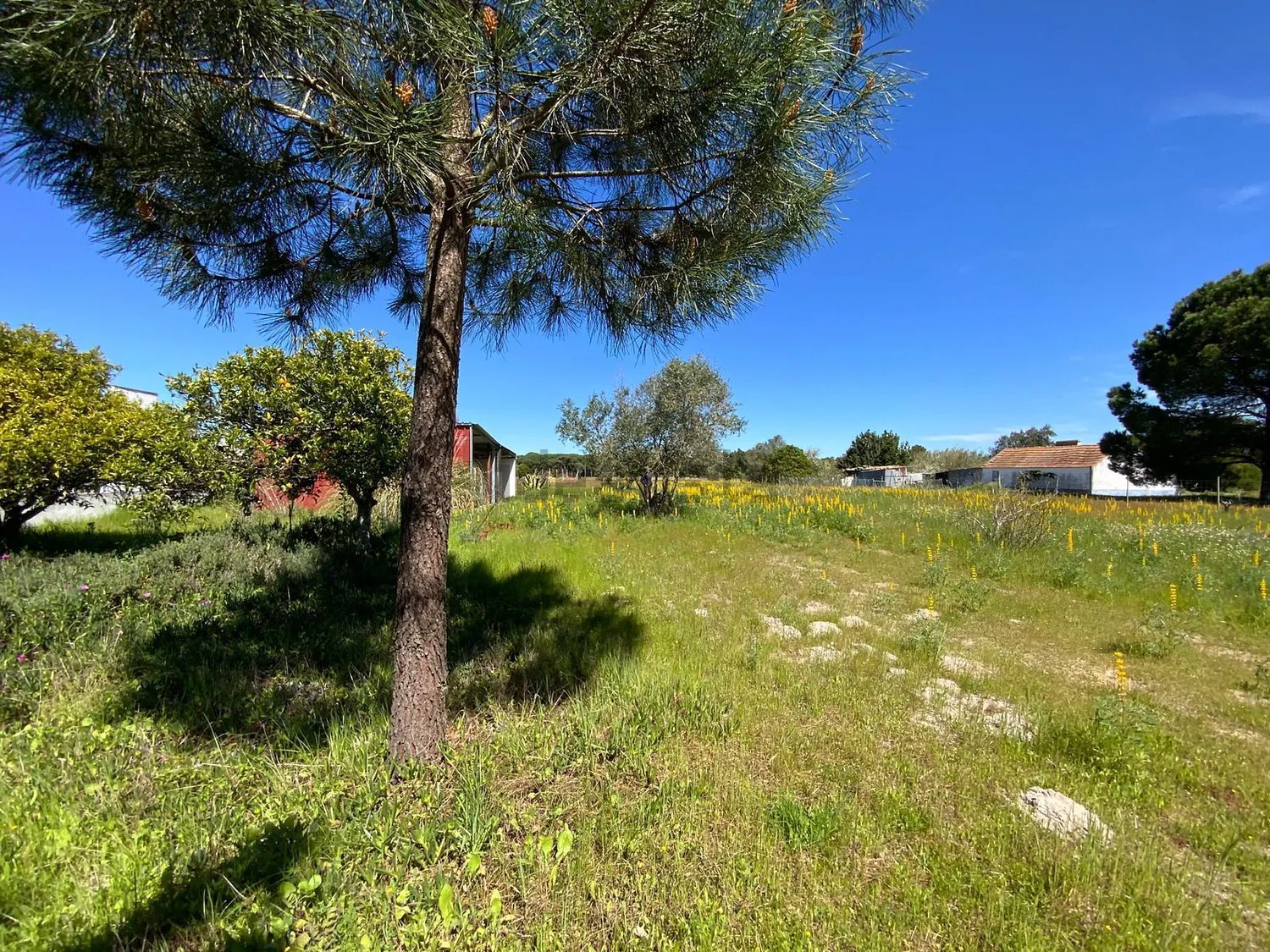 小楼房或独栋别墅出售Grandola - 花园