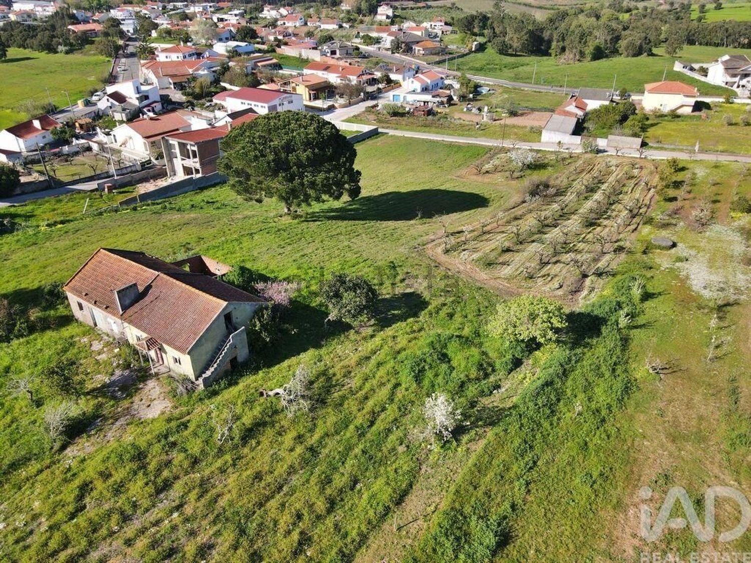 小楼房或独栋别墅出售在Lamas e Cercal - 照片