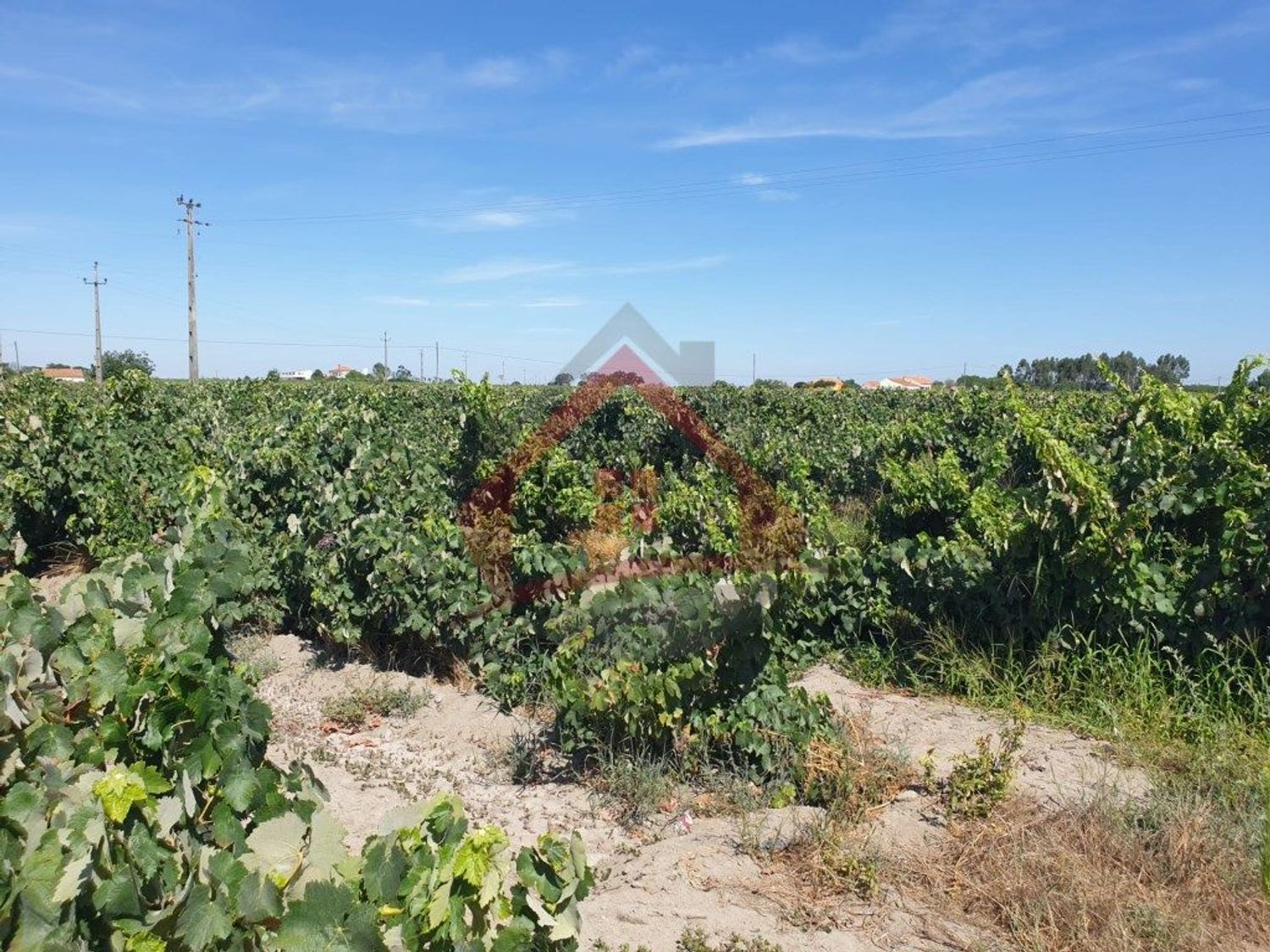庄园出售在Largo da Fonte - 花园