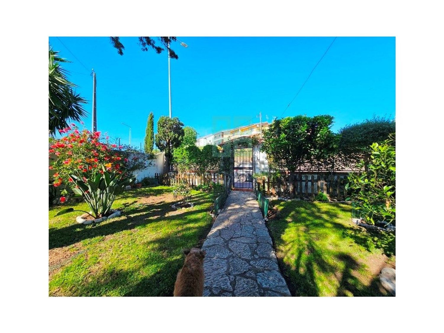 小楼房或独栋别墅出售在Rua Zambujal, 263 a - 花园