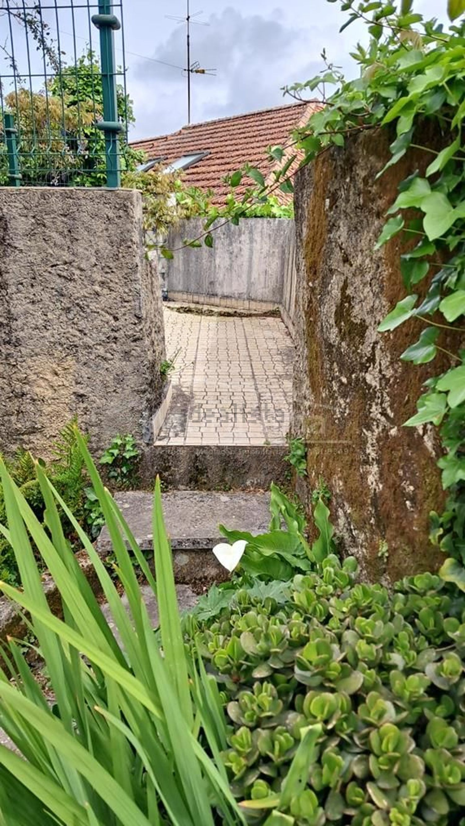 小楼房或独栋别墅出售在Rua Serpa Pinto s/n - 花园