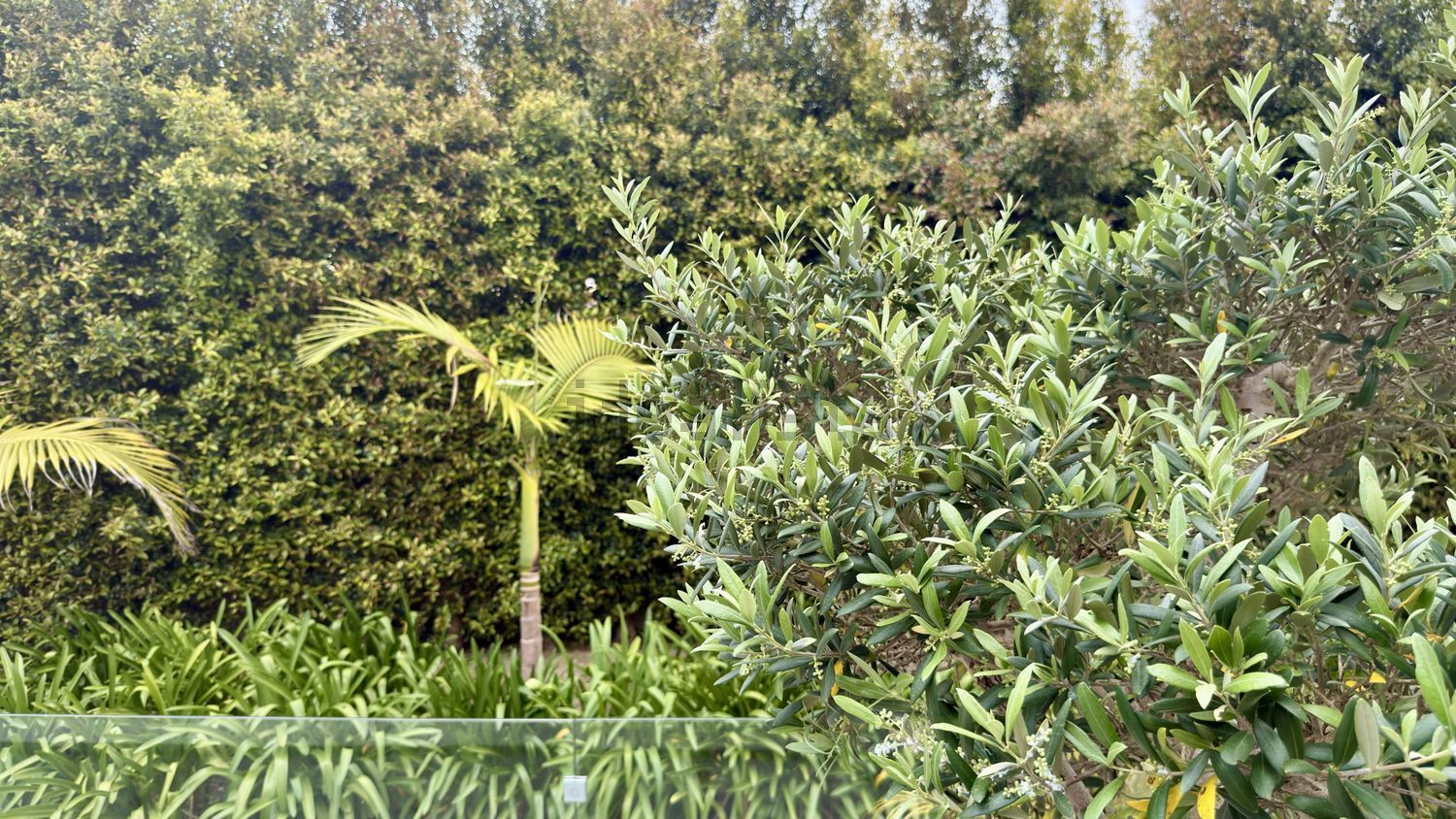 小楼房或独栋别墅出售在Rua Mato das Cruzadas - 花园