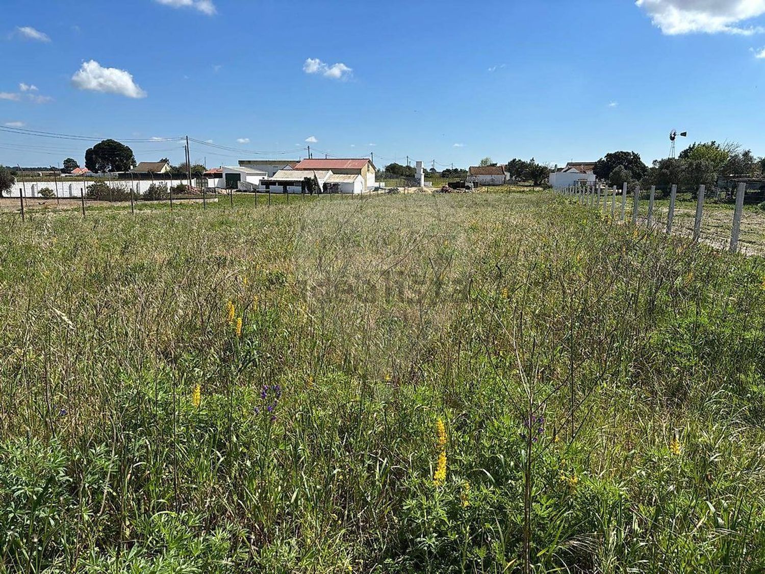 庄园出售在Cascalheira - Venda do Alcaide - 视线