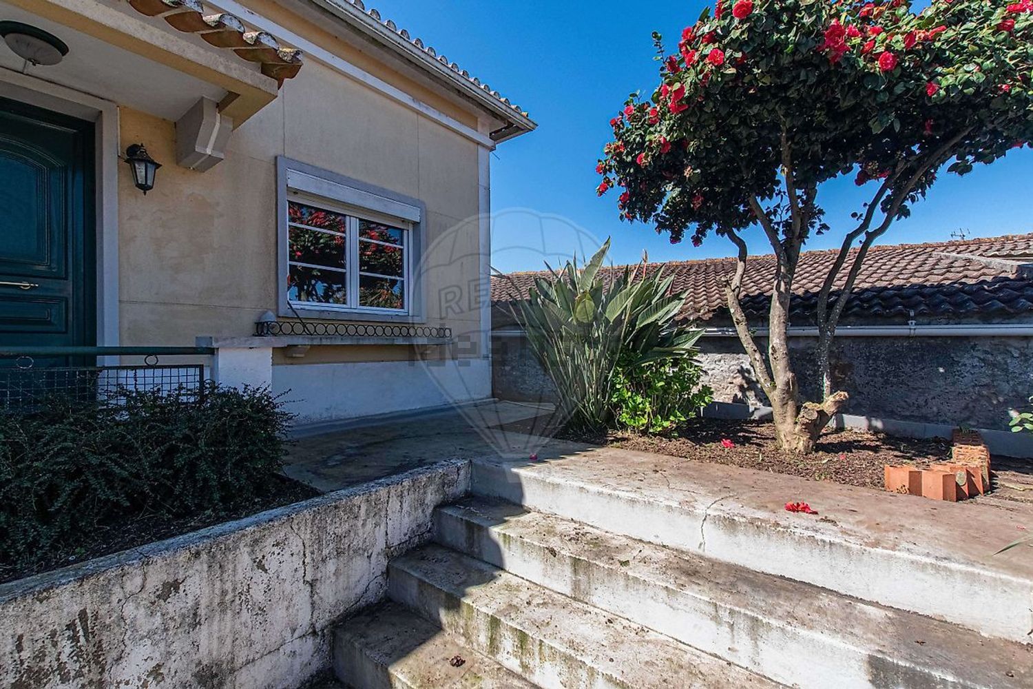 小楼房或独栋别墅出售N115-1 - 外立面