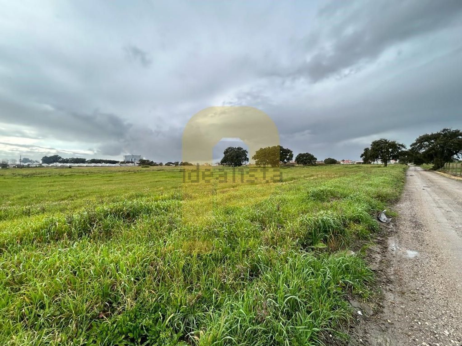 庄园出售在Atalaia e Alto Estanqueiro - Jardia - 花园