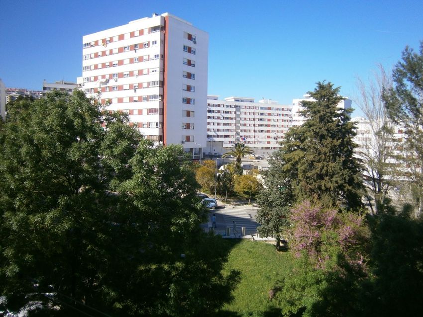 公寓 t3出售在Rua José Afonso, 14