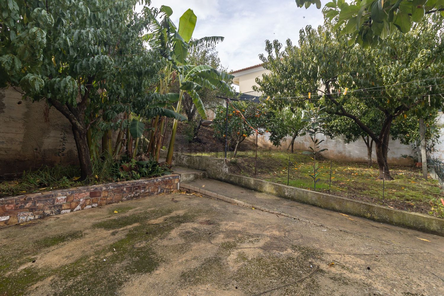 小楼房或独栋别墅出售在Avenida Padre Nabeto - 花园