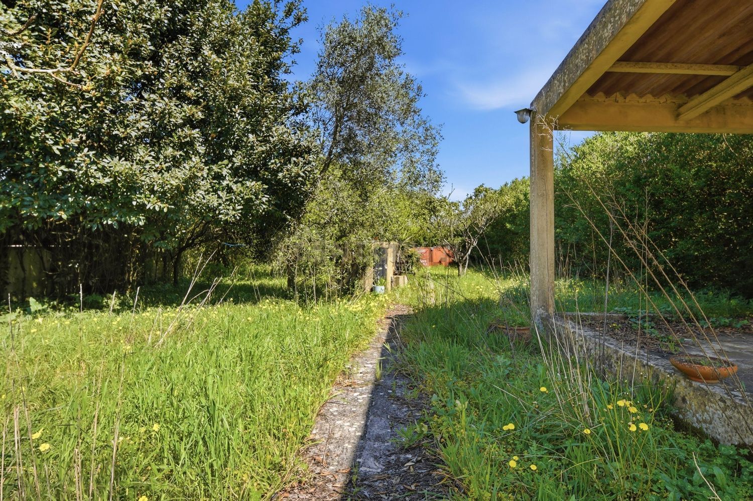 小楼房或独栋别墅出售在Rua do Bairro Novo - 花园