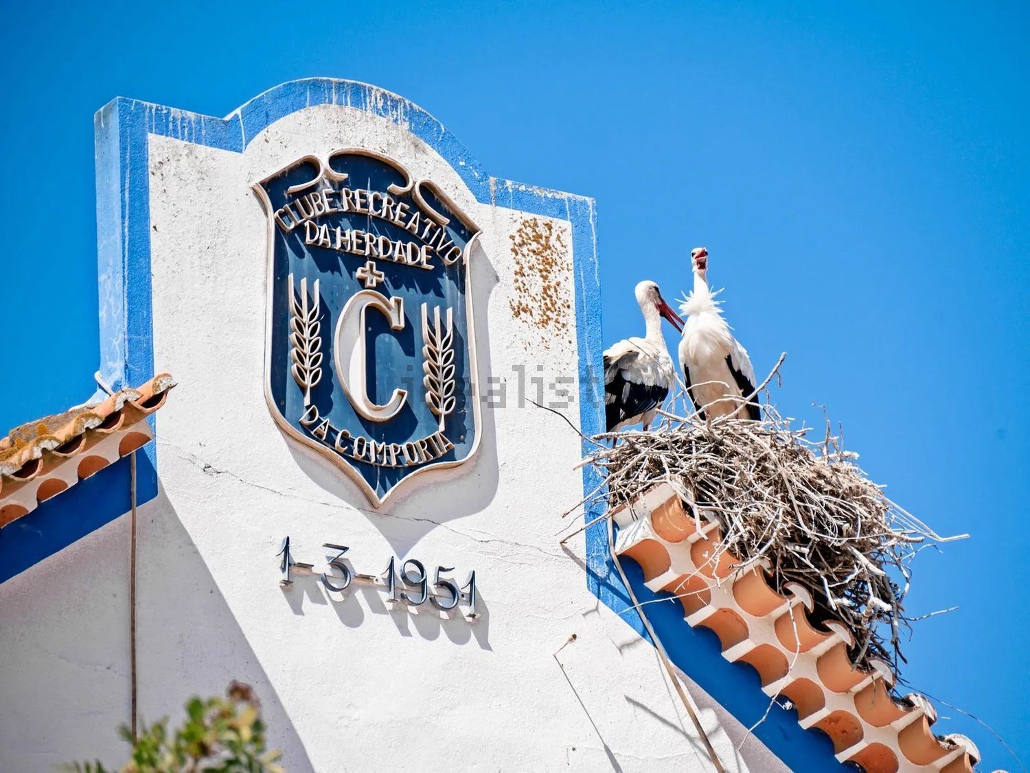 小楼房或独栋别墅出售carvalhal - 照片